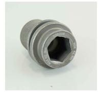 Crank Fixing Bolts