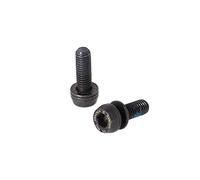 Campagnolo Disc Brake Front Caliper Bolts, Black, One Size