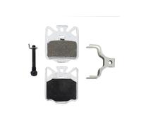 Campagnolo Db-410 Organic Disc Brake Pads Silver One Size Multicolor
