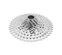 Campagnolo Ekar Cassette Silver 13s / 9-42t 13s Silver