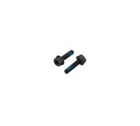 Campagnolo Flat Mount Caliper Mounting Hardware