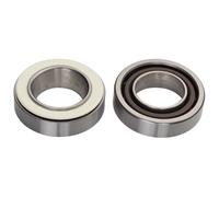 Campagnolo Hub Bearings (CPS93 High End Service Kit) Type: CPS93 High