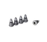 Campagnolo Ergopower Bleeding Screws Screw 5PC