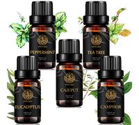Camphoraceous Essential Oil Kit, Eucalyptus Oil Set for Diffuser, 5x10ml Aromatherapy Camphor Essential Oil Kit, Eucalyptus, Cajeput, Peppermint, Tea Tree, Camphor Oil