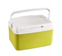 Camping Cooler Box | 6L/9L Camping Cooler, Freezer, Portable Handheld Hard Case, Home CampingMini Fridge, Convenient ForCamping/Travel/Beach/Kayaking/Car/Fishing Use.