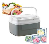 Camping Cooler Box - Insulated Cooler Box | Insulated Coolers | 8L Portable Insulation Coolers Lunch Box Boxes | Portable Lunch Place with Handle | Refrige