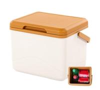Camping Cooler Box, Insulated Cooler Box - Waterproof Delivery Box Thermal Container with Ice Pack - 5L Leakproof Lunch Cooler Box - Pack of 5