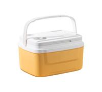 Camping Cooler, Travel Colder, Insulated Drink Box, 8 L, Leak Protection Car Fridge, Portable Picnic Cooler Container, Large Capacity Cooled Food Box for Outdoor Camping, Road Trip, Wall