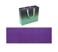 Camping Mat Outdoor - Yoga Sleeping Pad, Foldable Cushion Padding, Storage Bag Included, Workout Exercise Gear | Yogas Exercises Home Gym Outdoors for Yoga Exercise Home Gym