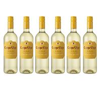 Campo Viejo Rioja Tempranillo Blanco, 75 ase of 6) 'Spanish Light and Fruity White Wine'