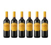 Campo Viejo Rioja Tempranillo I 750ML I Alcoholic Volume 13.5% I Pack of 6 I Whole Case