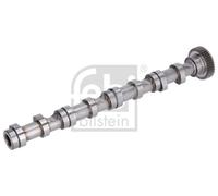 CAMSHAFT 176931