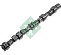 INA 428 0049 10 Camshaft
