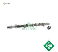CAMSHAFT 428 0086 10 FOR LADA NIVA/Closed/Off-Road/Vehicle TAIGA PEUGEOT 1.9L
