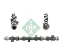 INA 428 0153 10 Camshaft
