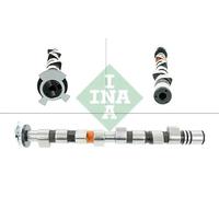 INA 428 0167 10 Camshaft
