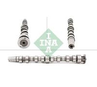 INA 428 0172 10 Camshaft
