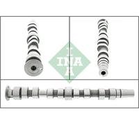 INA 428 0174 10 Camshaft
