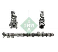 INA 428 0178 10 Camshaft