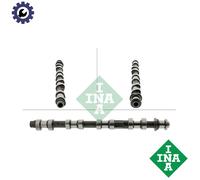 INA 428 0196 10 Camshaft