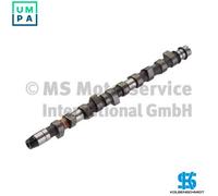 Camshaft 50006283 KOLBENSCHMIDT for AUDI VW