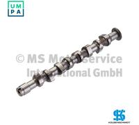 Kolbenschmidt Camshaft 50006380 for VW SEAT 1.4L AEX/AKV/ANX/APQ (4-cyl)