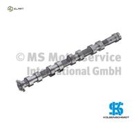 Camshaft Intake Side 50007069 KOLBENSCHMIDT for PEUGEOT CITROËN