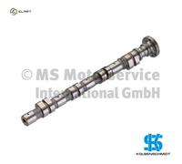 Kolbenschmidt camshaft Mercedes-Benz 1.6 A1660500601 1660500601 M166.960