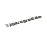 Camshaft 664841 AMC for MITSUBISHI HYUNDAI KIA GALLOPER