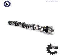 CAMSHAFT 80SKV002 FOR PEUGEOT EXPERT/Van/Bus/Platform/Chassis 3008/II/SUV 308