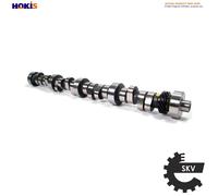 CAMSHAFT 80SKV007 FOR VW TRANSPORTER/T5/Platform/Chassis/Bus/Van MULTIVAN 2.5L