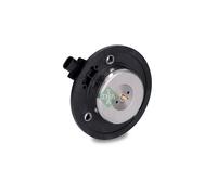 INA 427 0034 10 Central Magnet, camshaft adjustment