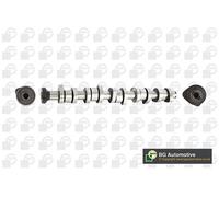 Camshaft Fits VW Touareg Multivan Transporter/Caravelle BGA CS9650