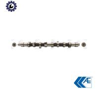 CAMSHAFT CAM373 FOR D8AD9BD9A162D8BXUD9ADHWDJYDHVDHYDHXDJZXUD9TEXUD9SDDW8 1.9L