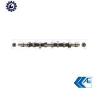 CAMSHAFT CAM373 FOR D8AD9BD9A162D8BXUD9ADHWDJYDHVDHYDHXDJZXUD9TEXUD9SDDW8 1.9L