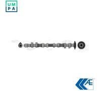 CAMSHAFT CAM744 FOR AAD 2.0L AGU 1.8L ADR/AEB/AGU/AJL/AJP/AJH/AJQ/APX/APT 1.8L