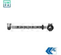 AE CAM934 Camshaft