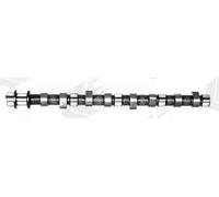 Camshaft Cast Iron CAM389 AE for MITSUBISHI GALANT Mk II L 300 III Van L200