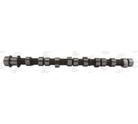 AE CAM734 Camshaft