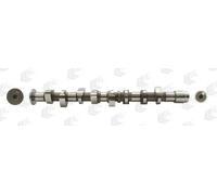 AE CAM808 Camshaft for SEAT,VW