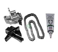 INA 559 1822 20 Timing chain kit
