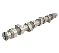 Camshaft ENGITECH ENT081002 for VW POLO (6N2) 1.9 1999-2001