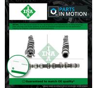 INA 428 0176 10 Camshaft