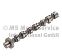 KOLBENSCHMIDT Camshaft 50007005 Exhaust Side, for cylinder 1-3 AUDI: A4 B7 Avant, A4 B8 Saloon
