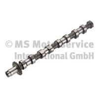 Camshaft Exhaust Side 50007089 KOLBENSCHMIDT for PEUGEOT CITROËN FIAT