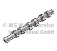 Camshaft Exhaust Side 50007655 KOLBENSCHMIDT for SEAT SKODA VW