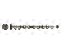Camshaft Exhaust Side Cast Iron CAM744 AE for AUDI VW SKODA SEAT