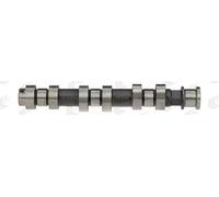 AE CAM809 Camshaft