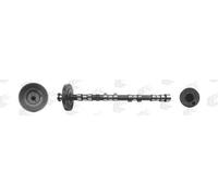 AE CAM974 Camshaft