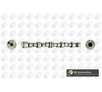 2x ✅Fits BGA CS6387 CAMSHAFT ⭐UK Seller⭐